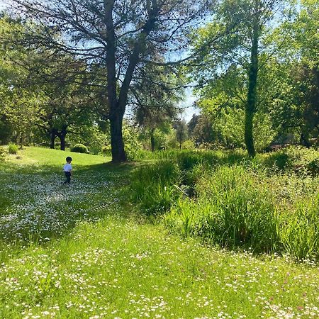 Les Restanques Vue Mer Roses 1070 Rez De Jardin Grimaud Εξωτερικό φωτογραφία