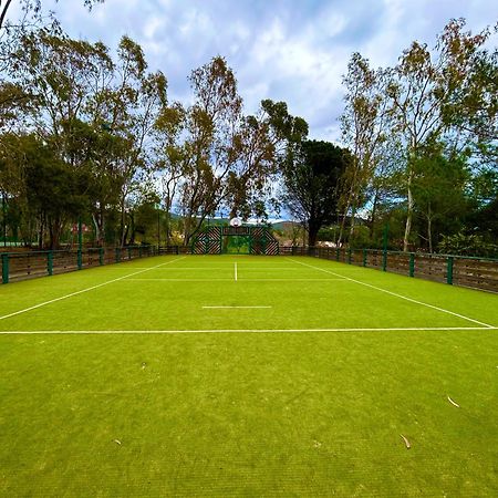 Les Restanques Vue Mer Roses 1070 Rez De Jardin Grimaud Εξωτερικό φωτογραφία